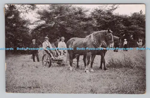 R810152 Schneiden des Mais. G.D. und D. London. Serie Star. PM. Shipton Bell