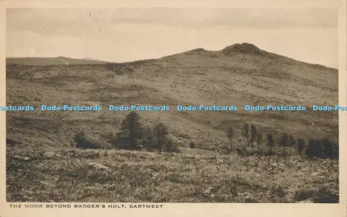 R003615 The Moor Beyond Badgers Holt Dartmeet RA