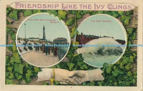 R003616 Freundschaft wie der Efeu klammert Multiansicht The Corona