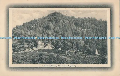 R004700 Lower Gharial Murree Hill India H A Mirza