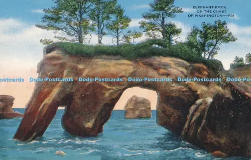 R019630 Elefantenfelsen an der Küste von Washington C Kropp