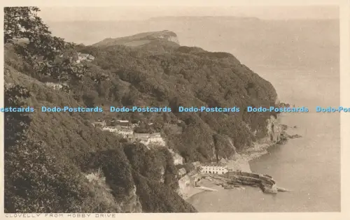 R023419 Clovelly von Hobby Drive G S Reilly Majestic