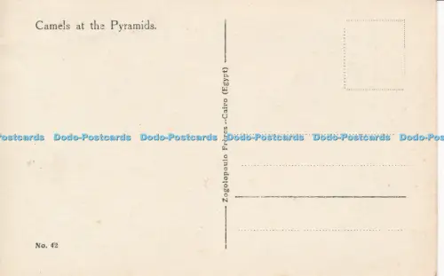 R034981 Kamele bei den Pyramiden Freres