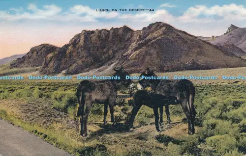 R035208 Lunch on the Desert Kropp No 44
