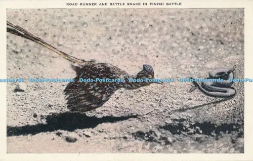 R035446 Road Runner und Rasselschlange auf Finish Battle Kropp
