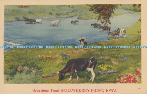 R035494 Grüße aus Strawberry Point Iowa Nyce
