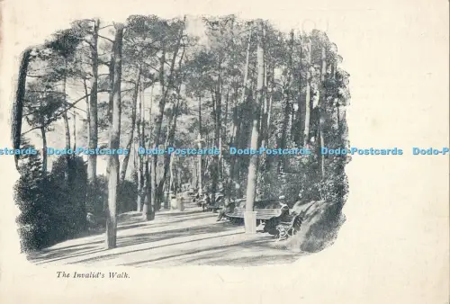 R028075 The Invalids Walk 1931