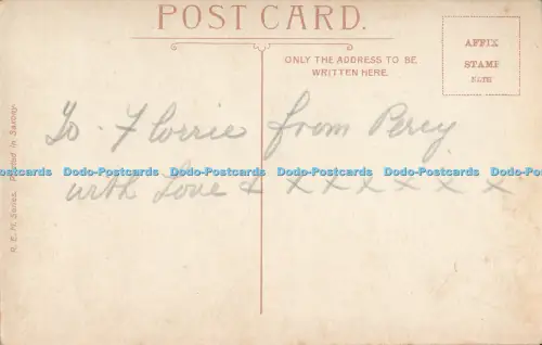 R029004 Mt Riddell Healesville R E M