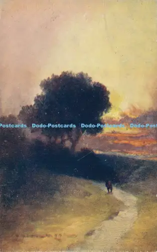 R029177 Herbsttönungen Davidson Bros Arcadia