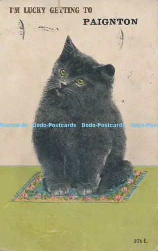 R029185 I am Lucky Getting to Paignton Black Kitten Valentine Colourtone 1921