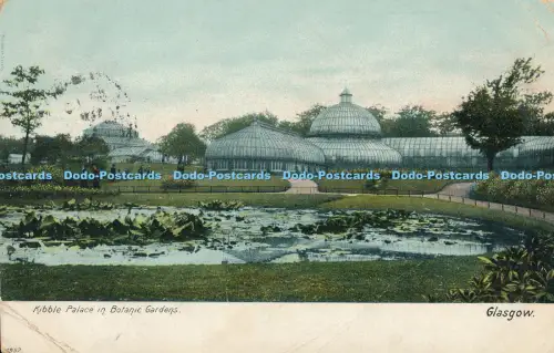 R009551 Kibble Palace in Botanic Gardens Glasgow Hartmann 1905