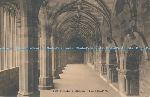 R029584 Chester Cathedral The Cloisters Photochrom No 4849