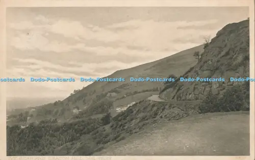 R029593 Ivy Scar and Beacon Hill Malvern Woods and Co 1912