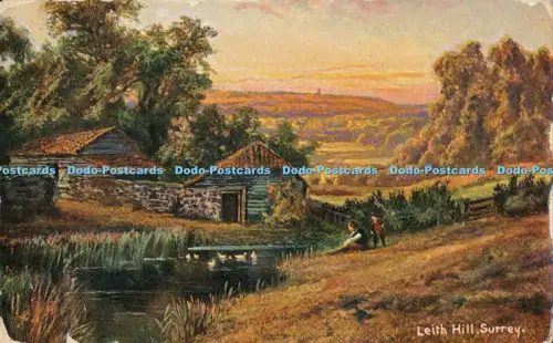 R029604 Leith Hill Surrey Hildesheimer