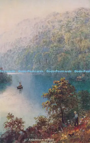 R029820 Sharpham Woods River Dart Tuck Oilette No 7983