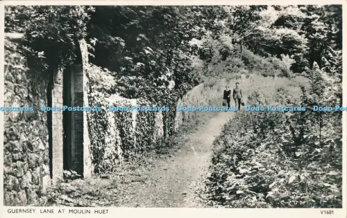 R029860 Guernsey Lane at Moulin Huet Photochrom No V1681