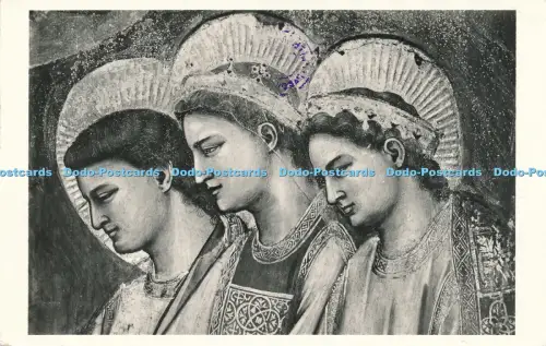 R030096 Padova Cappella degli Scrovegni all Arena RP