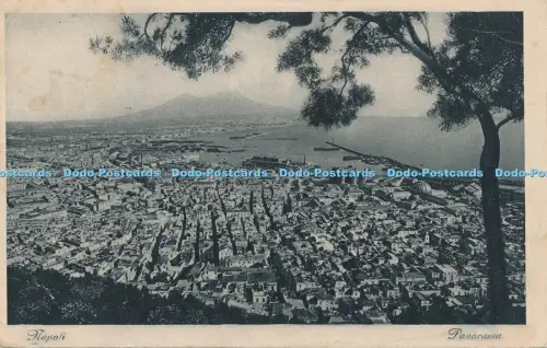 R030135 Napoli Panorama R Zedda di V Carcavallo