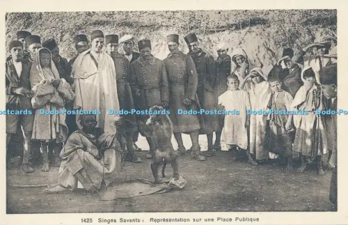 R030291 Singes Savants Representation sur Une Place Publique L M