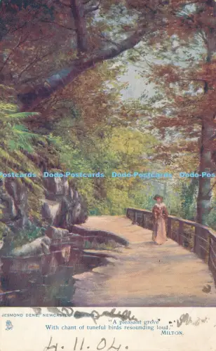 R030296 Jesmond Dene Newcastle on Tyne Valentine Oilette 1904