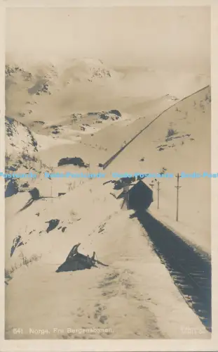 R030312 Norge Fra Bergensbanen Mittet B Hopkins