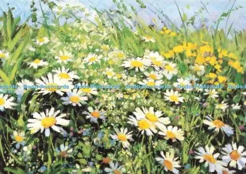 D219240 Gänseblümchen Aleksandr Ivanou Nr 8 P 1 Mund- und Fußmalerei Künstler