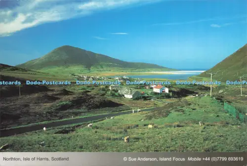 D219247 Schottland Northton Isle of Harris Sue Anderson