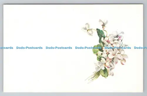 R800839 Flowers Photochrom London Tunbridge Wells Celesque Serie