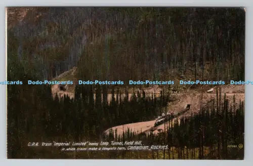 R800948 Canadian Rockies C P R Train Imperial Limited Leaving Loop Tunnel Field