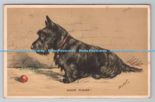 R801294 Again please Dog and Ball Valentine Tailwagger Mac PM Southend on Sea Es