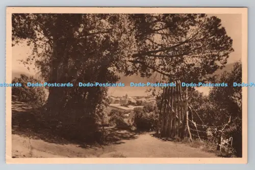 R801296 Ajaccio Corse Un Apercu de la Ville Dans un Joli Cadre Yvon