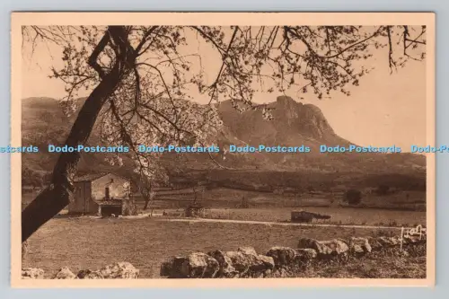 R801297 Ajaccio Corse Le Monte Gozzi Yvon