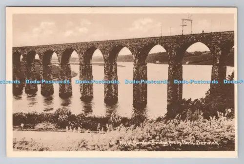 R801336 Berwick Royal Border Bridge vom Park