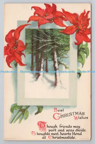 R801361 Beste Weihnachtswünsche Bäume im Schnee Winterzeit