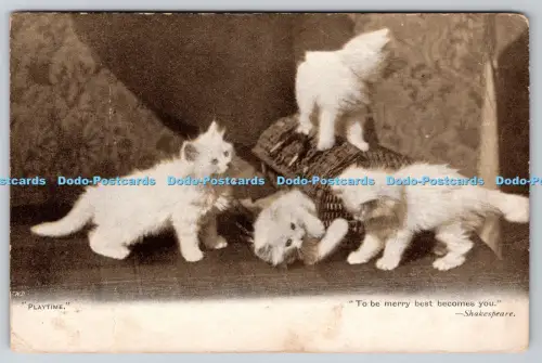 R814247 Playtime To Be Merry Best Becomes You Cats PM London 1903