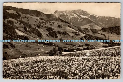 R814592 Les Narcisses et Rochers de Naye O Sartori Lausanne