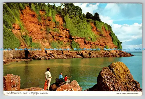 R815447 Devon Maidencombe Near Torquay John Hinde E Ludwig 1967