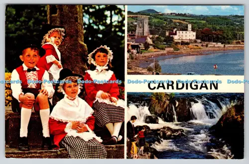 R815463 Strickjacke Card N P O Dexter Mehrfachansicht