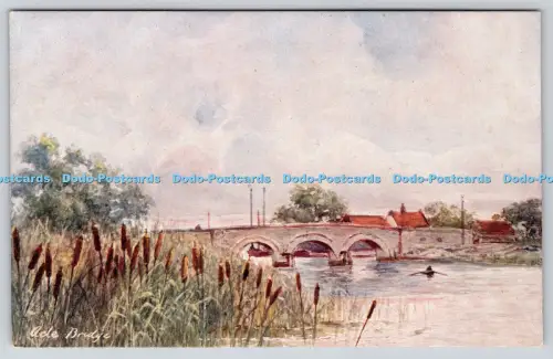 R815610 Acle Bridge The Bullrush Jarrold Wild Flower Series Parsons Norman