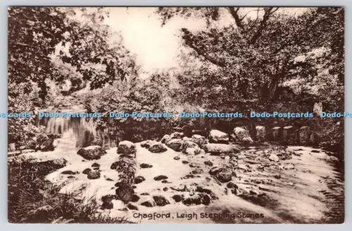 R815617 Chagford Leigh Trittsteine