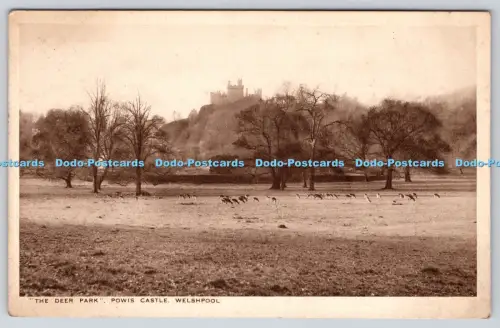 R815623 Welshpool Powis Castle The Deer Park L and E Thomas Westminster Cafe The