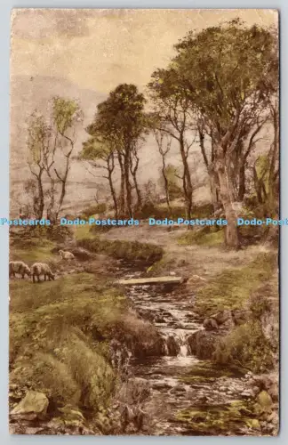 R815821 Sheeps in the Forest The Regent London 1920