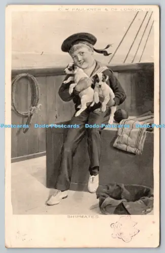 R816044 Schiffskameraden Junge in Matrosenkleidung mit Hunden PM London 1905