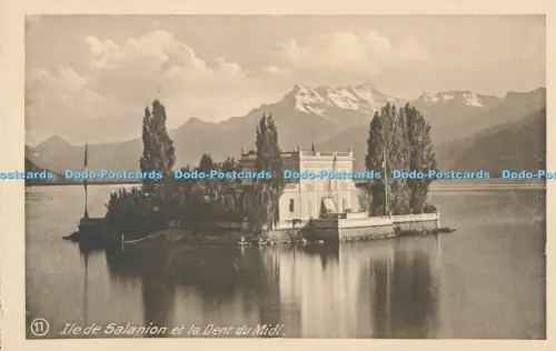 R030646 Die Insel Salanion und die Dent du Midi