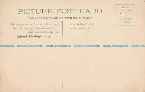 R031058 Durstige Rinder