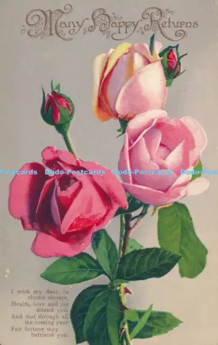 R031062 Viele Happy Returns Rosen