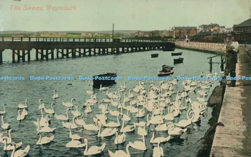R031210 The Swans Weymouth Valentine