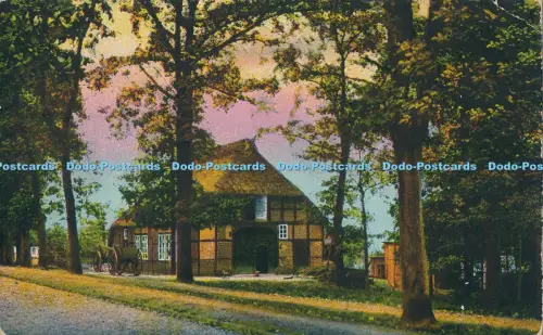 R031211 Alte Postkarte Haus und Bäume