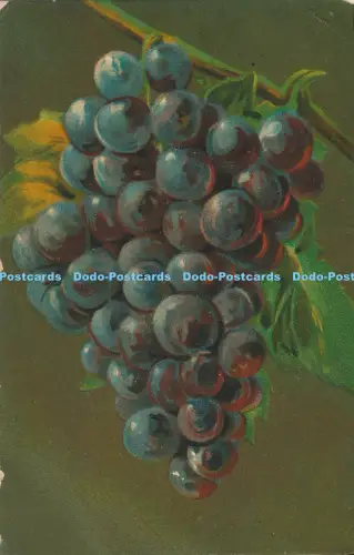 R031330 Alte AK Trauben A Traldi 1922