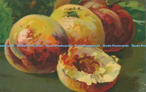 R031331 Alte AK Birnen A Traldi 1922